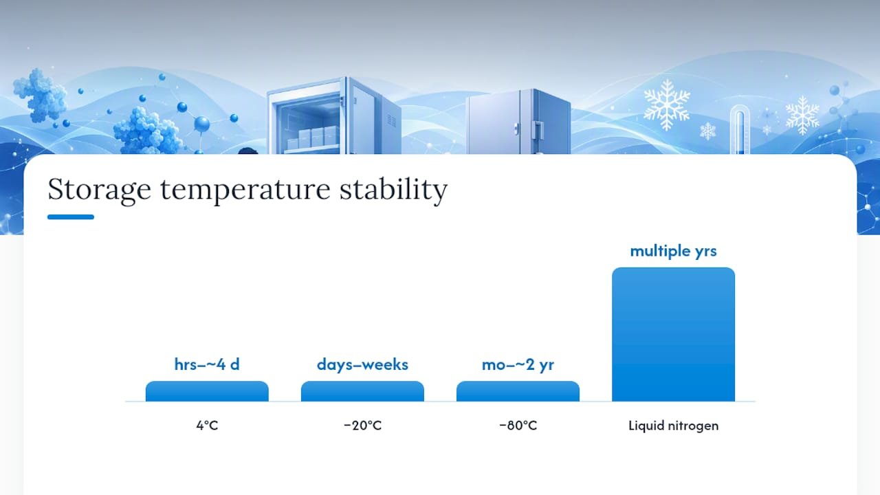 What Storage Temperature Should You Use, and How Many Freeze-Thaw Cycles Are Safe? — overview diagram