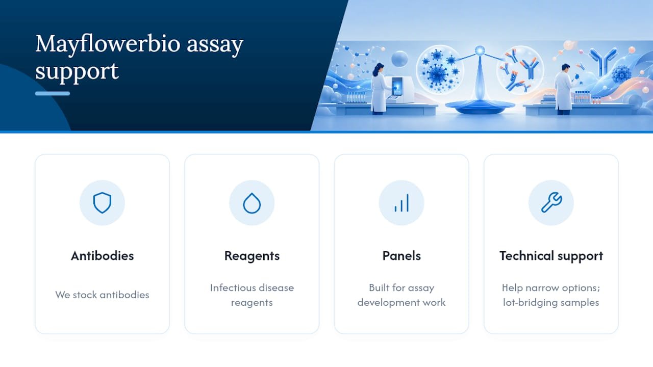A Supplier's Perspective on Antigen and Antibody Assay Support — overview diagram