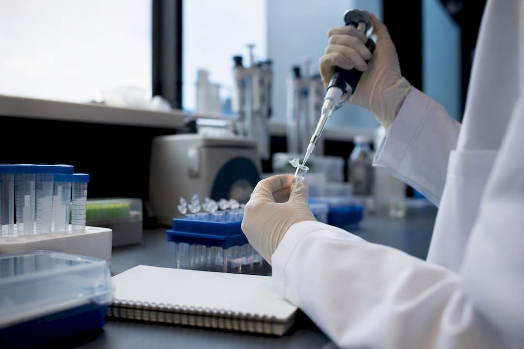 Choosing the Right Antibody for ChIP: A Validation Guide