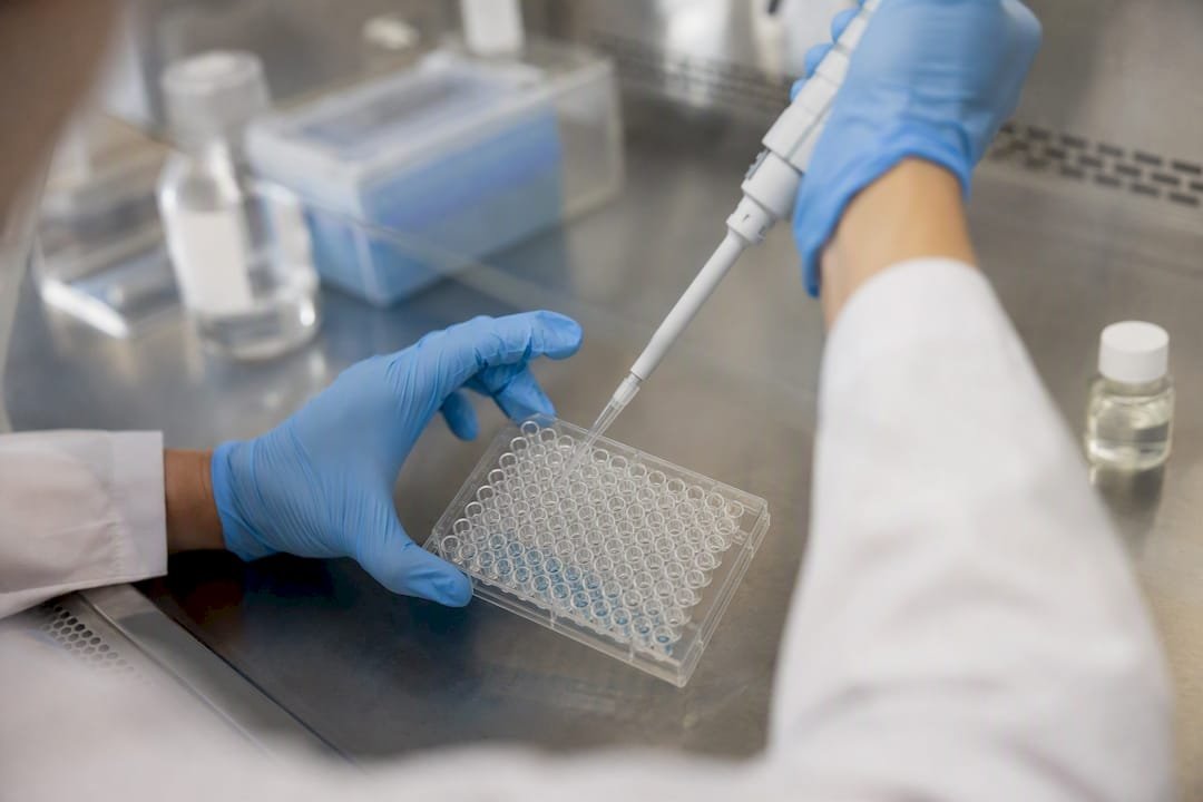 Antibody Cross-Reactivity: Causes, Detection, and Fixes