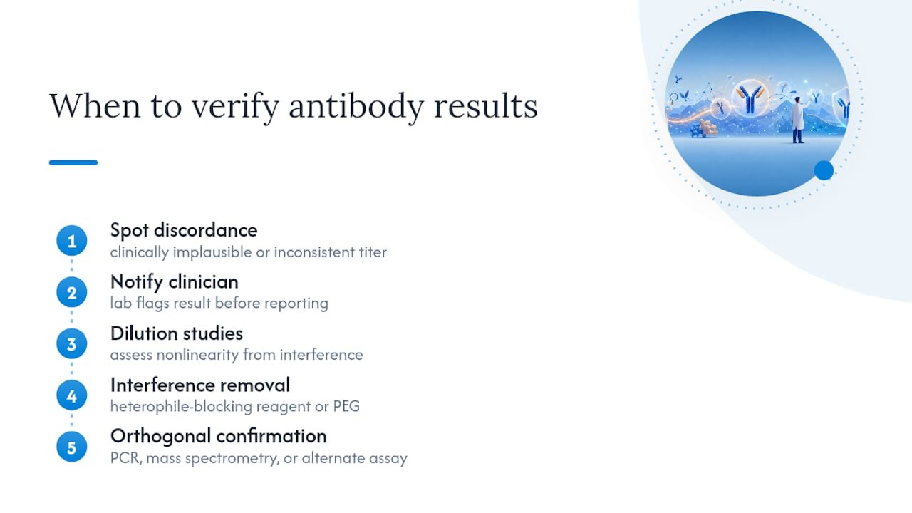 What Cross-Reactivity Means for Serology and Clinical Interpretation — overview diagram