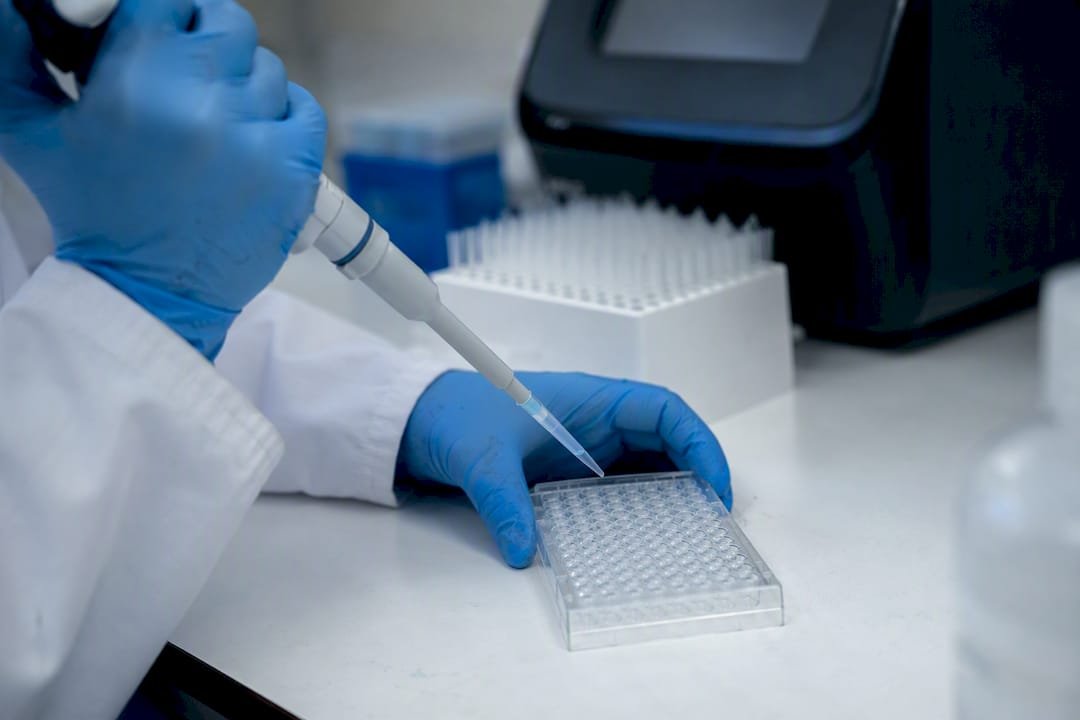 ChIP qPCR Analysis: Excel Formulas, QC, and Constant Amount Fix
