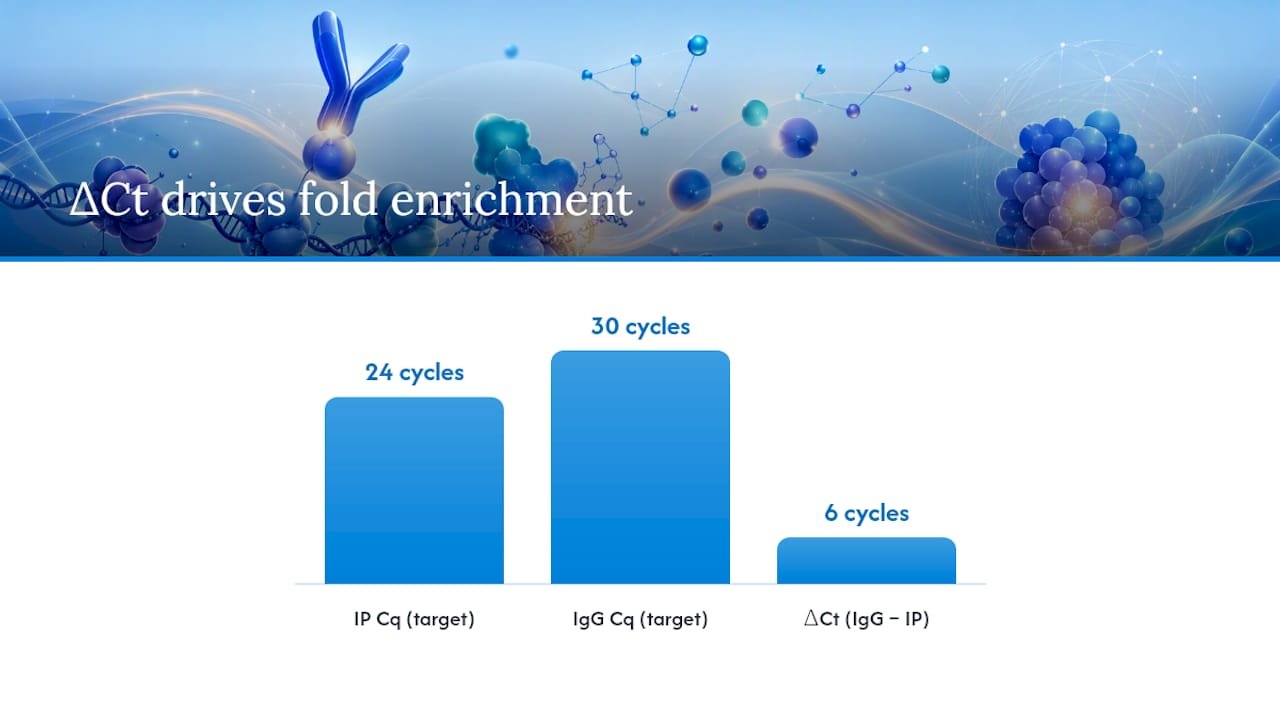 Fold Enrichment: The Quick Check, Not the Final Answer — overview diagram