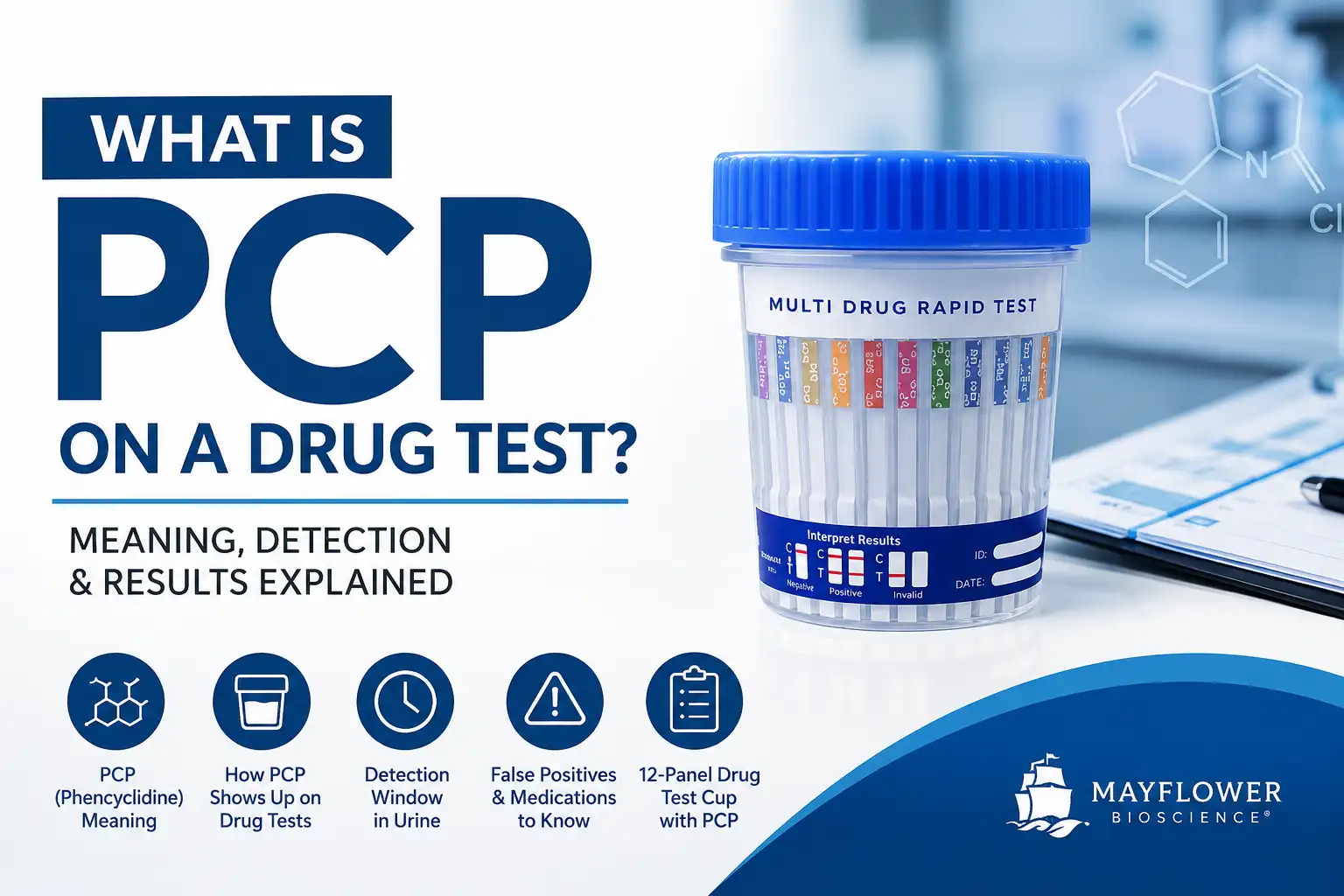 What Is PCP on a Drug Test? Meaning, Detection & Results