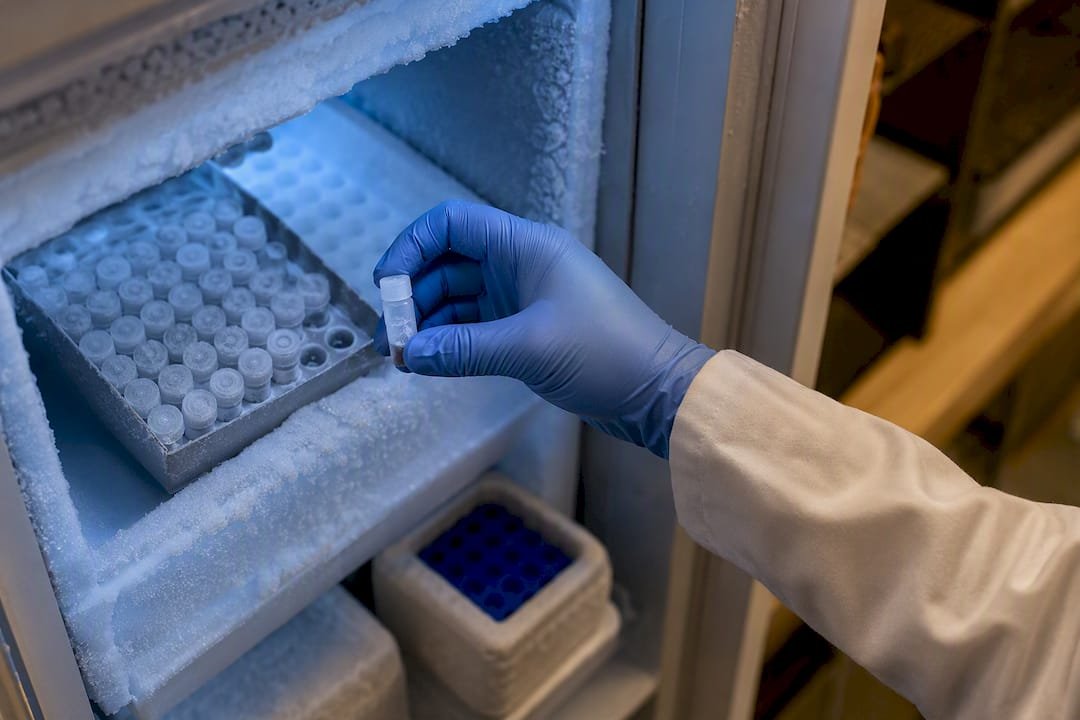 Anonymous antibody vial removed from freezer