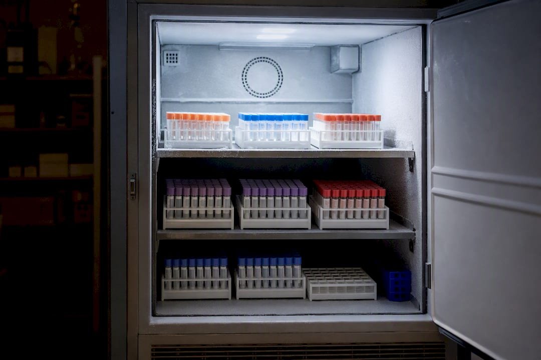 Organized specimen tubes on dedicated freezer shelf