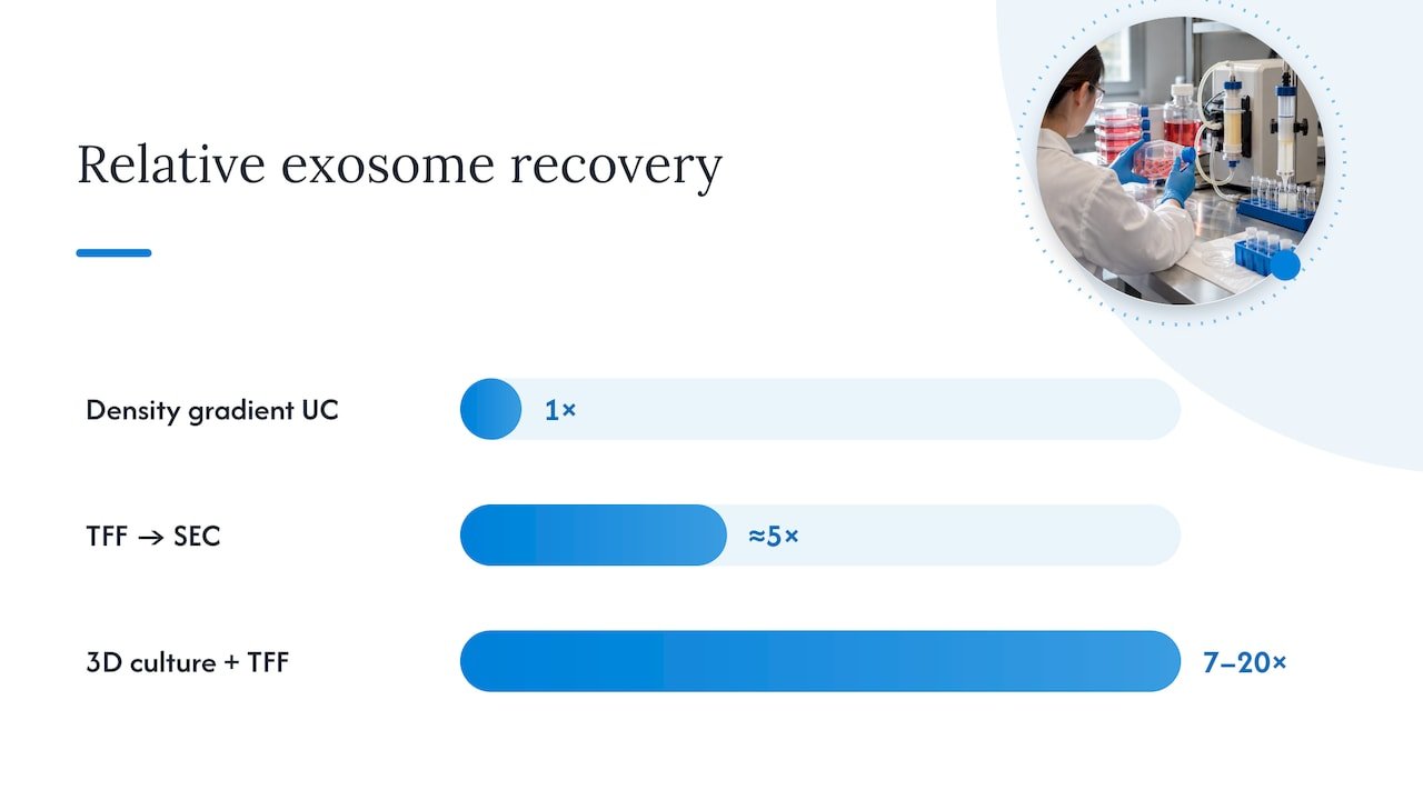 TFF to SEC exosome purification workflow