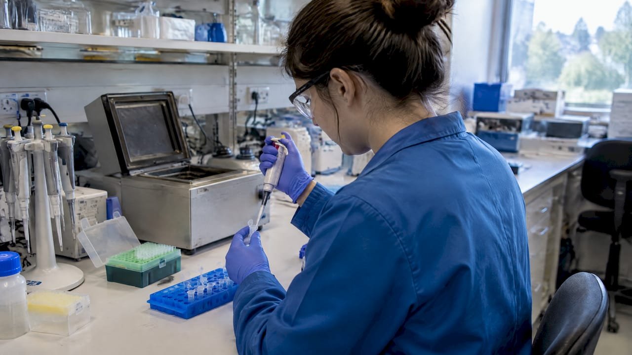 Fix Most Failed ChIP Experiments: Start With Chromatin QC