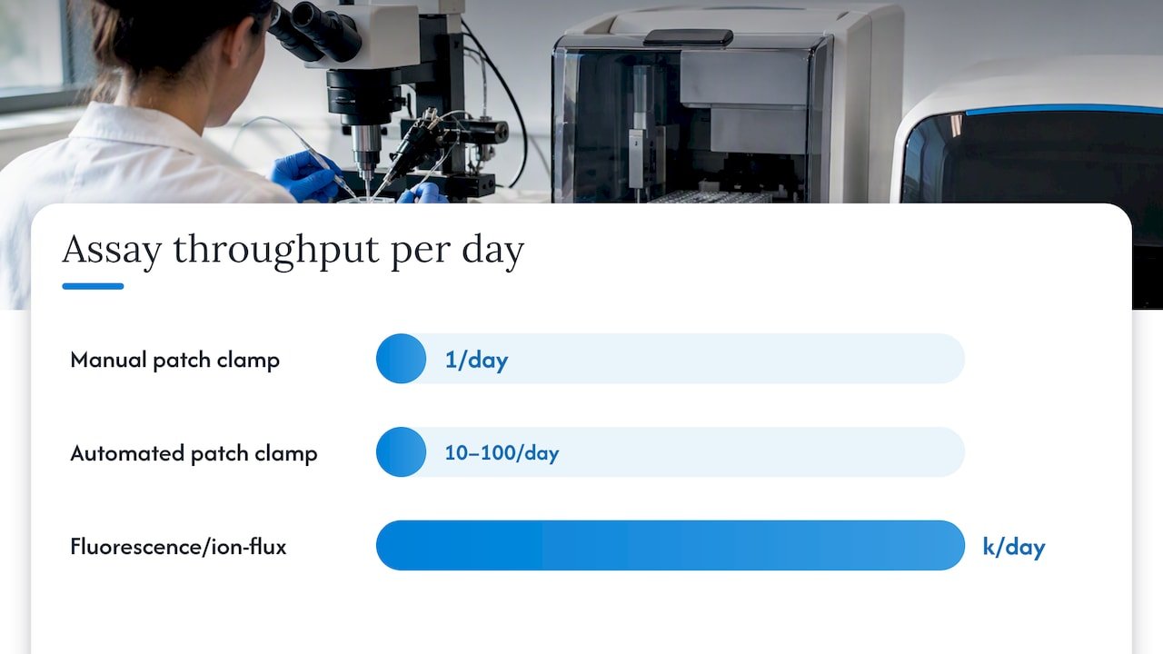 Manual and automated hERG assay comparison