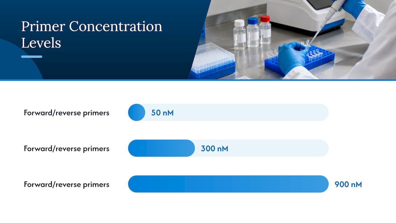 Bench Optimizations: Matrices, Temperature, Enzymes, and Additives — overview diagram