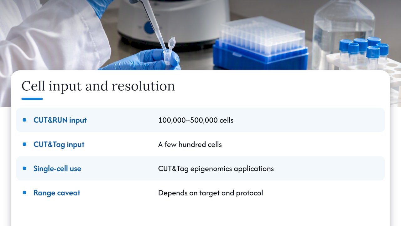Cell input ranges with a 100-cell target marker